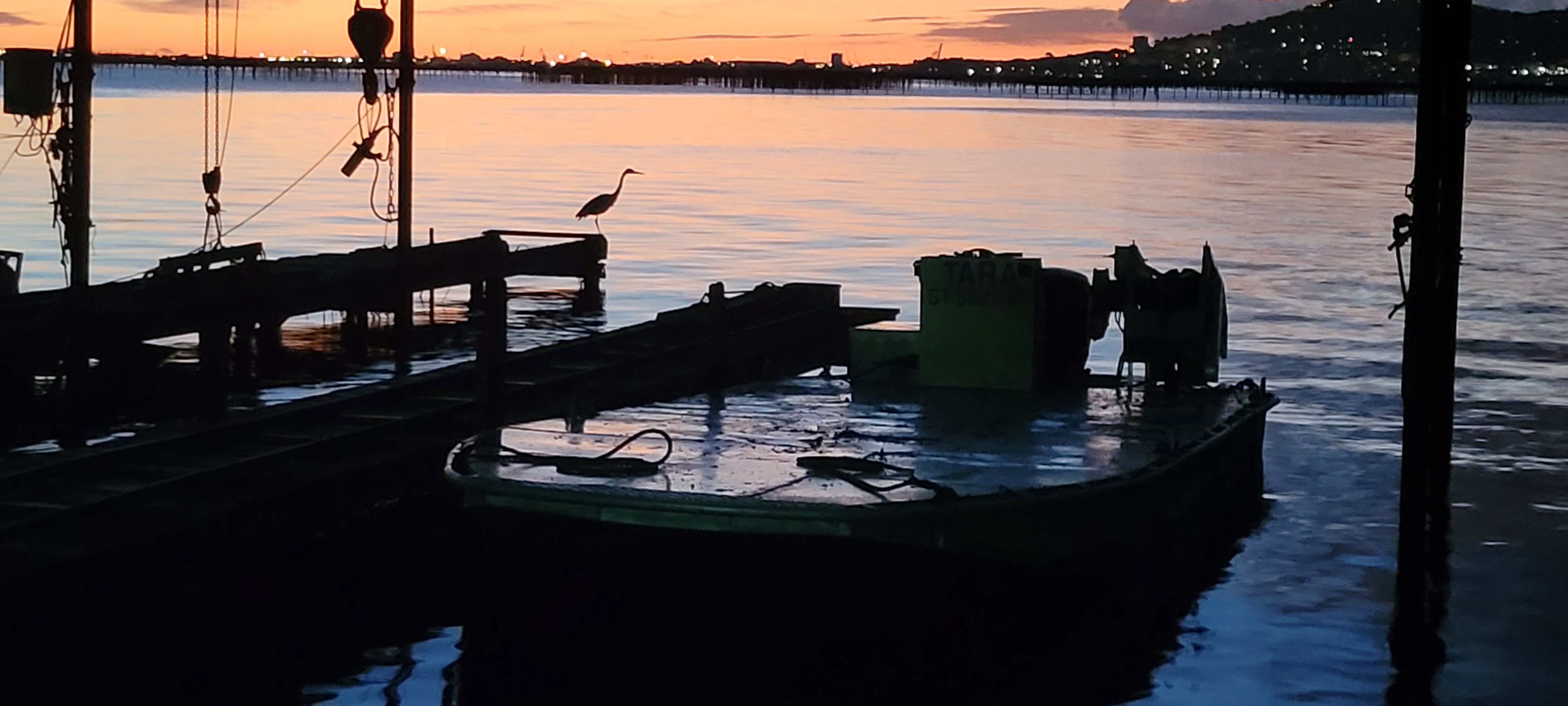 Rocamora Coquillages